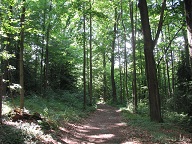 Wanderweg