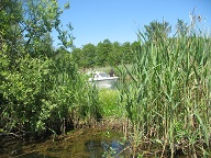 Blick zum Repenter Kanal