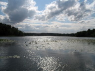 Der Bikowsee